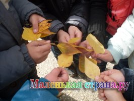 �������� ����� ����������, �����������