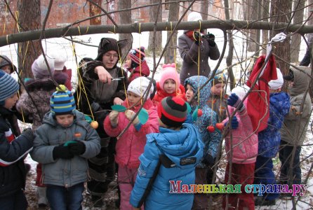 �������� ����� ����������,  ������� ��������������� �����������,  ����� ������ ���������,  �������