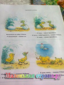 ��������� ����� ������������,  ������� ��������������� �����������