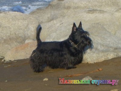 �������� ��������, 14 ���