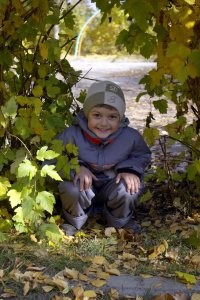 ��������� ���� ����������, �����������