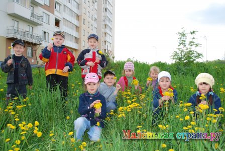 ��������� ���� ����������, �����������