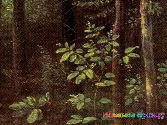 ������ ������ �����������, ������� ��������������� �����������