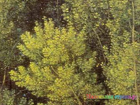 ������ ������ �����������, ������� ��������������� �����������