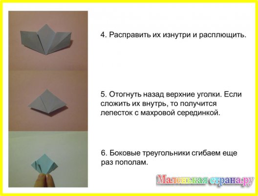 ������ ���� ��������, ������� ��������������� �����������