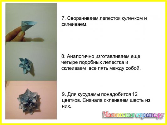 ������ ���� ��������, ������� ��������������� �����������