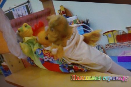 ������ ������ ��������, �����������