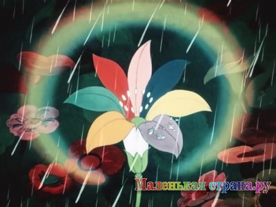 ��������� ����� ������������,   �����������