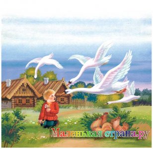 ������� ��������� ������������ ������� ��������������� �����������