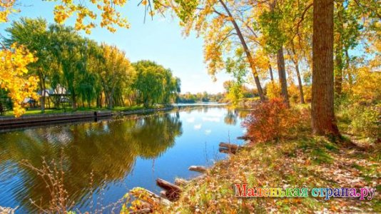 �������� �������� ����������, ������� ��������������� �����������