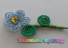 ������� ����� ���������, ������� ��������������� �����������