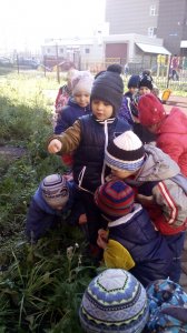 ������ ������ ����������