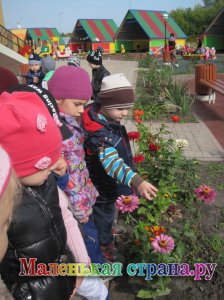 ������ ������ ����������