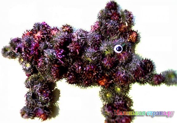 ������ �����, 5 ���