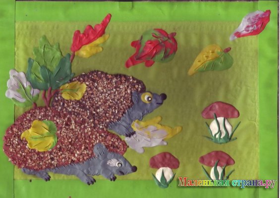 ��� �����, 6, 5 ���