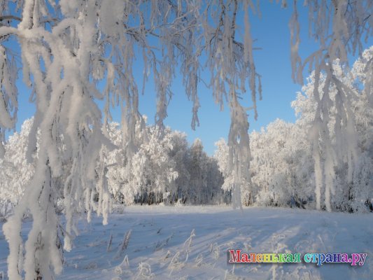 ����� III �������������� �������� ����������  �������� �����