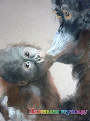 ����� III �������������� ��������  �������� � ������� �� ���� ��������� (�������� 2)