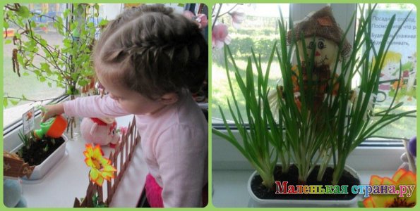 ������� "������ ���� � �������!.."