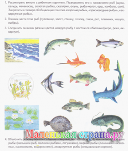 ��������� ������� �������������,  �����������