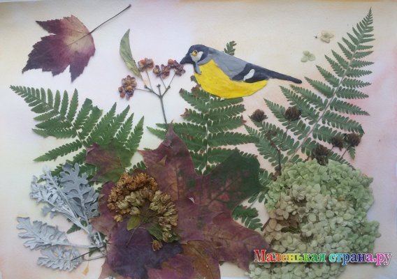 �������� �������, 9 ���