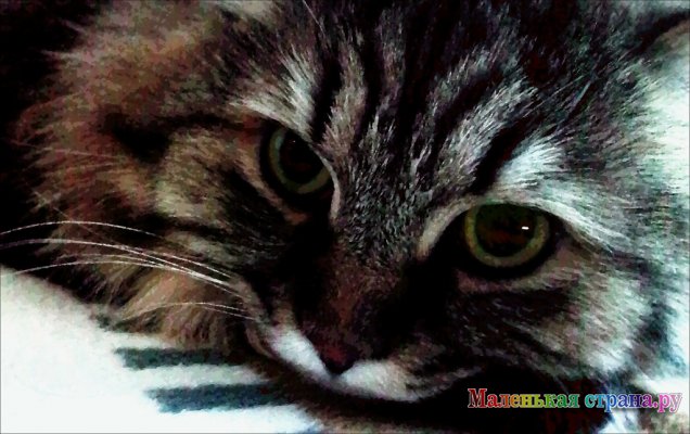 ����� IV �������������� ��������  ���������� ��������� ��������