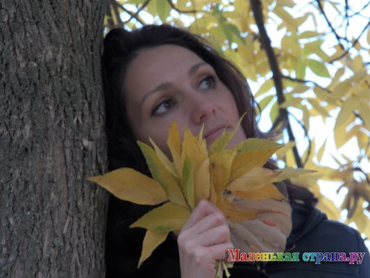 ����� III �������������� ������������ "���������� ���� ����"