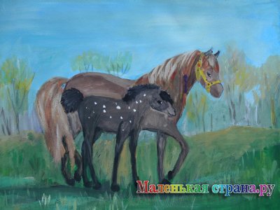 �� ������ �������� "� ���� ��������"