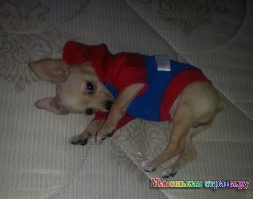 ���������� �������, 6 ���