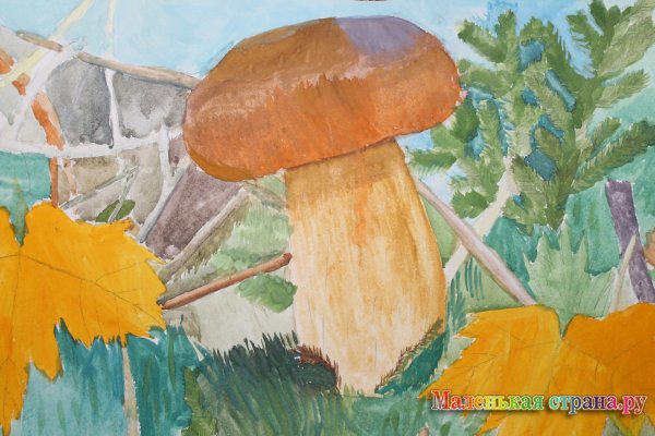 ������ �����, 14 ���