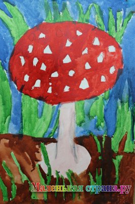 ����� ������, 9 ��� 